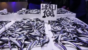 Trabzon’da hamsi ve istavrit bereketi