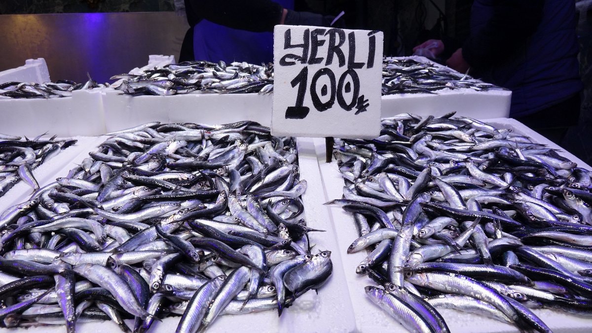 Trabzon’da hamsi ve istavrit bereketi