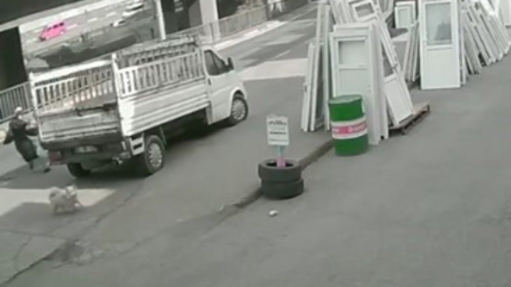 Trabzon’da yaşananlar ders olmadı: Sokaklar başıboş köpeklerle dolu