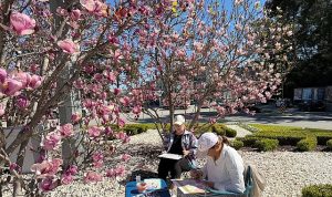 Turistler Kemer’de manolyaları resmediyor