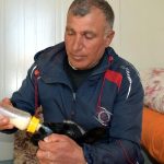 Van’da annesi ölen kuzuya bakıyor