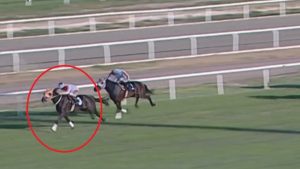 Yarış atı kavurma skandalında yeni gelişme: Sahibine 132 bin TL ceza