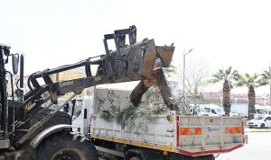 Başkan Çerçioğlu’ndan Aydın’ın Yeşil Dokusunu Geleceğe Taşıyan Çalışma