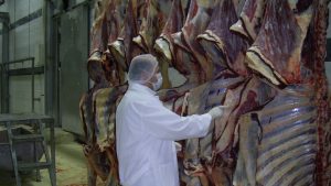 “Et fiyatları manipülasyonu” operasyonunda 30 gözaltı