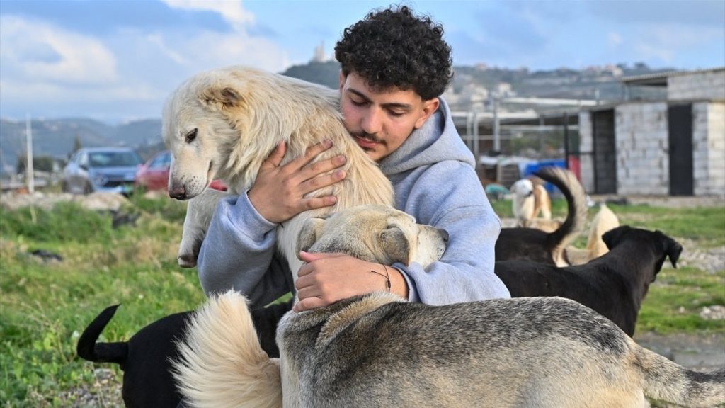 İsrail’in saldırılarında yerinden edilen hayvanlara Lübnanlı genç sahip çıktı
