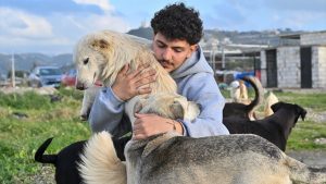 İsrail’in saldırılarında yerinden edilen hayvanlara Lübnanlı genç sahip çıktı